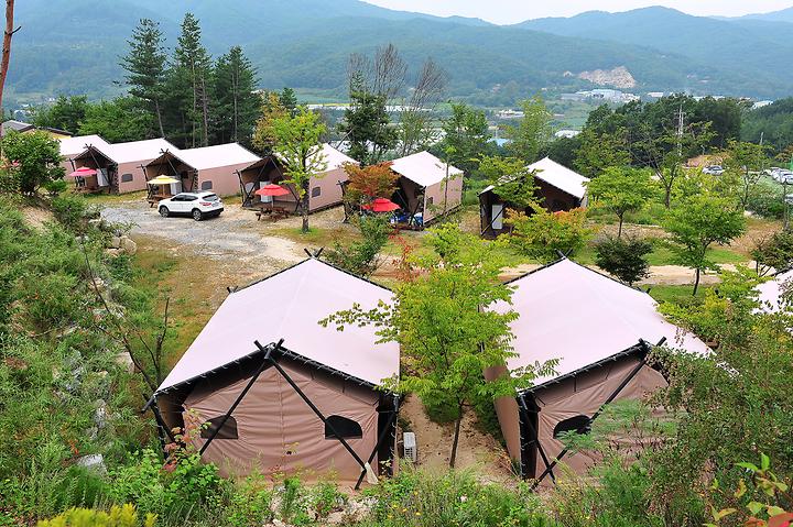 루파니애견캠핑장