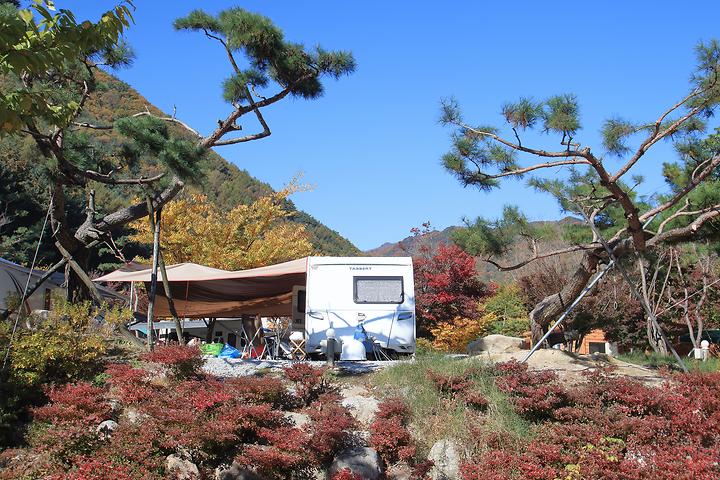 함양 용추 오토캠핑장