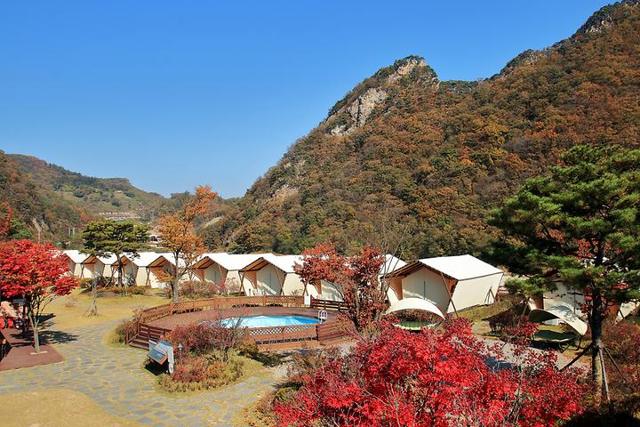 사목힐링캠프태안캠핑농원충청남도