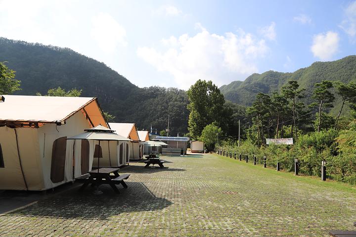 강원도산림개발연구원 집다리골자연휴양림