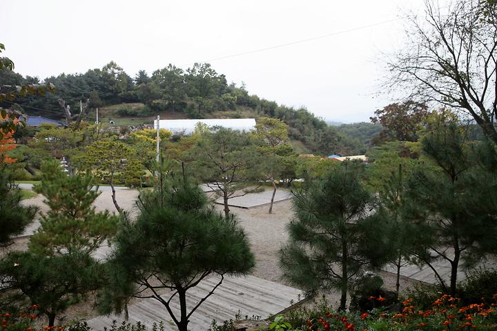 백년펜션 야영장