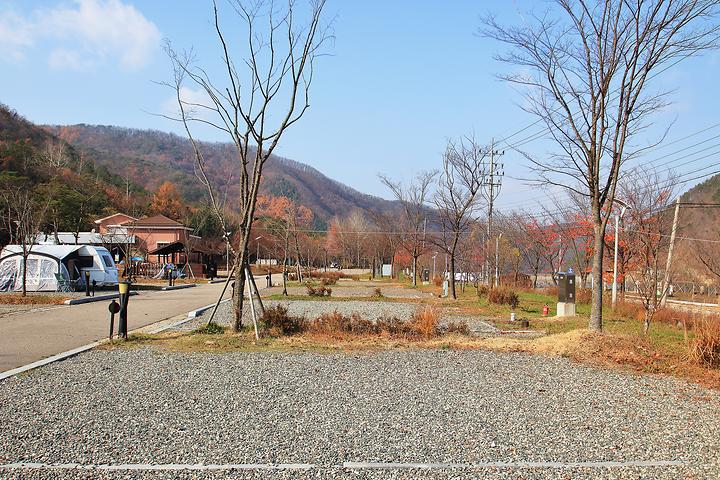 청송사과테마파크캠핑장