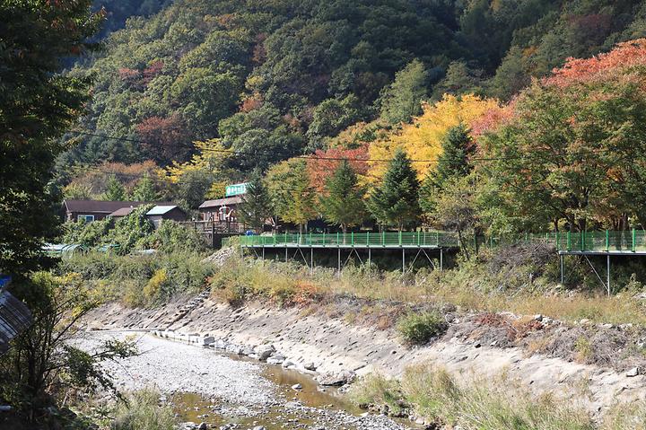 자우림캠핑장경기