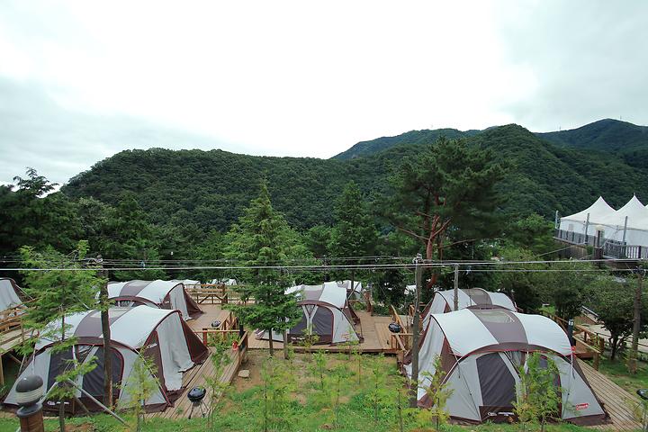 가평포레스트카라반랜드