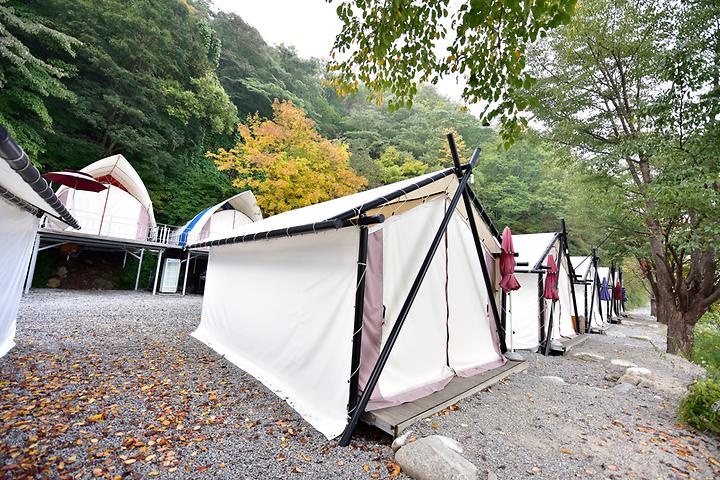 초안산캠핑장