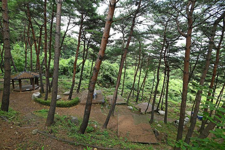 아트캠핑빌리지