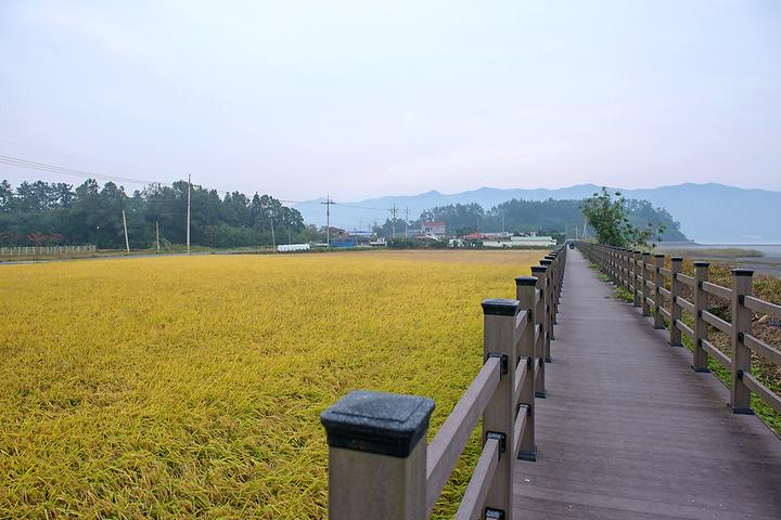 가산산성마을캠핑장경북