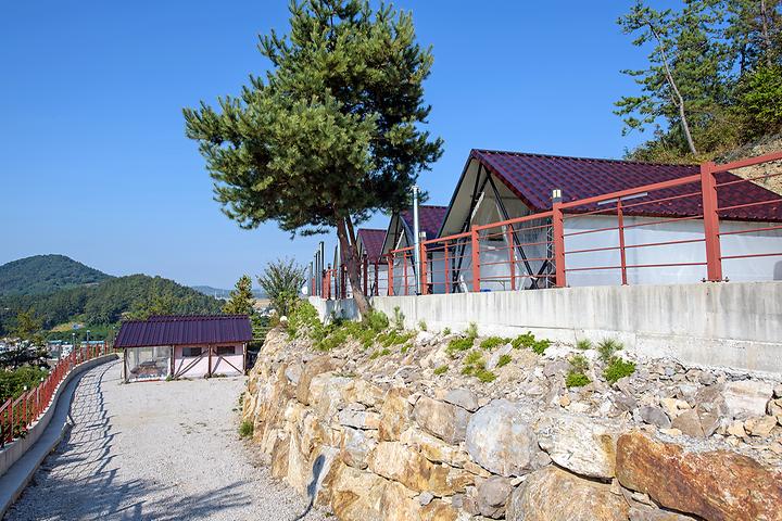 강릉 노추산 힐링캠프