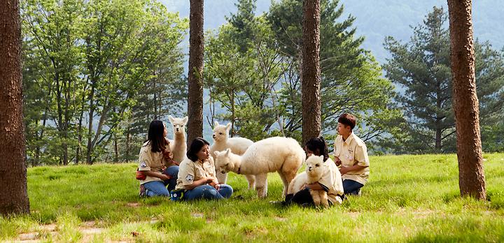 별장캠핑장