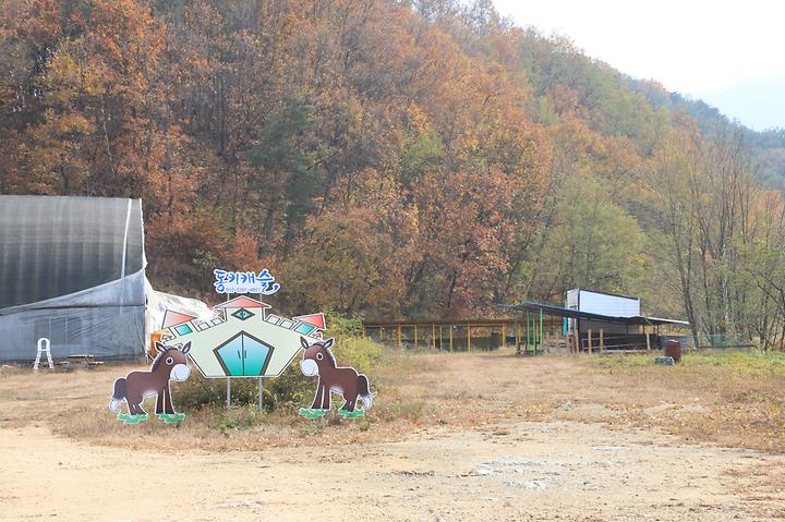 살둔마을 생둔분교 캠핑장