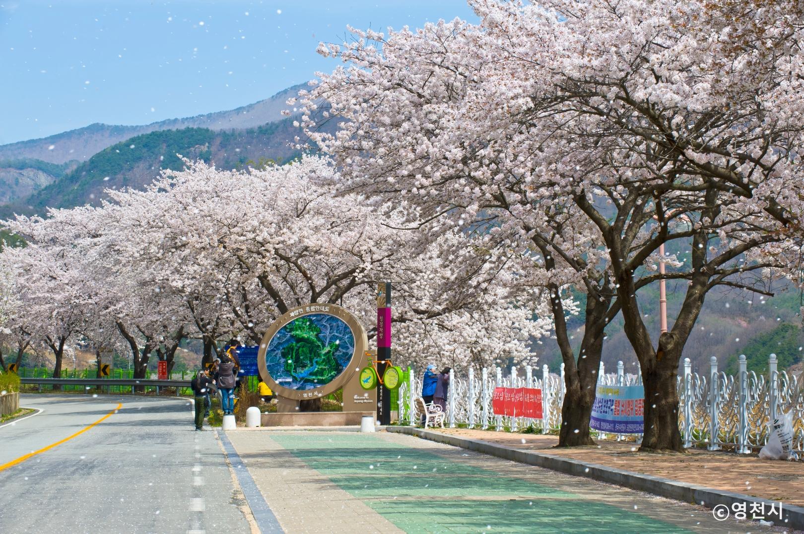 영천 임고강변공원