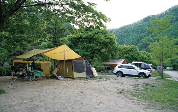 캠핑장 배치(사각타프+리빙셸일체형텐트)