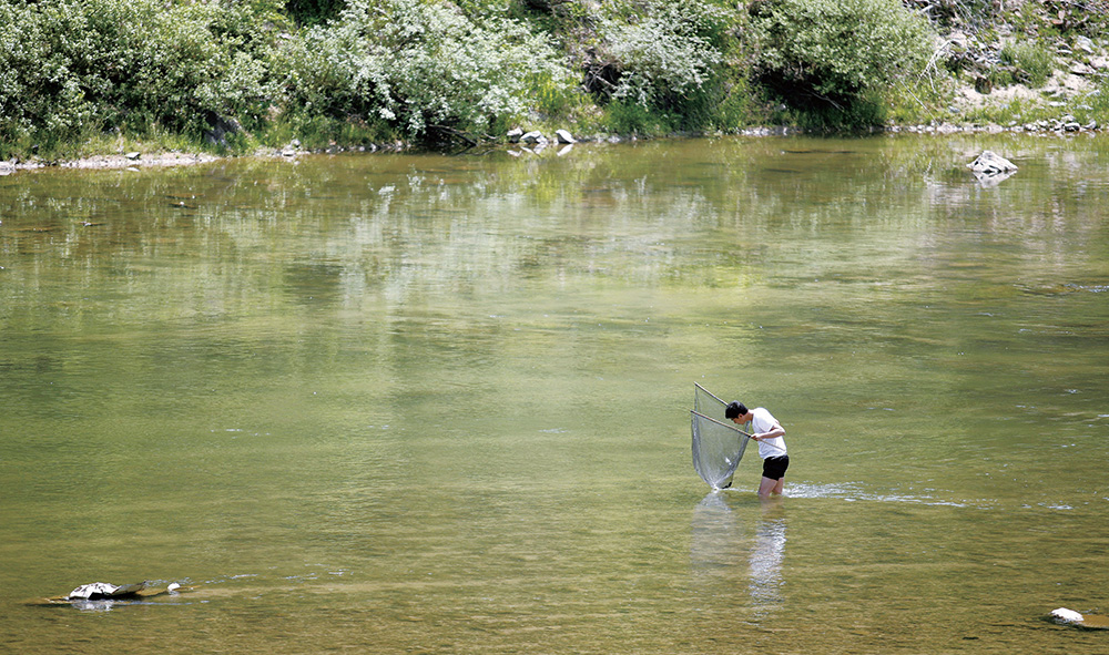 천렵