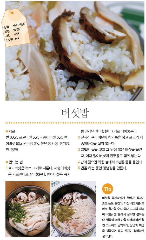 버섯밥