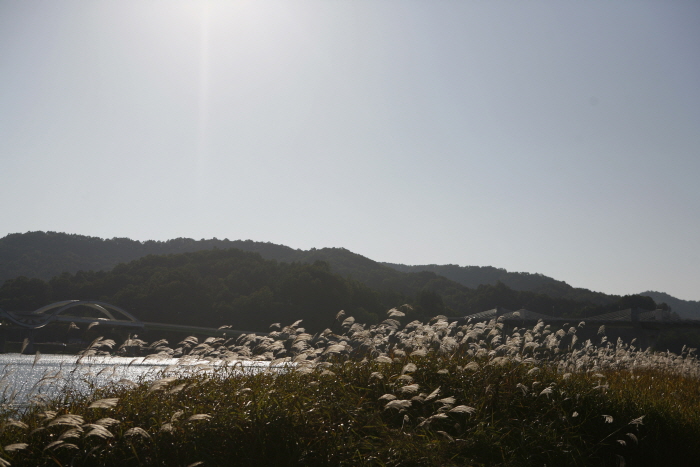 충북 충주