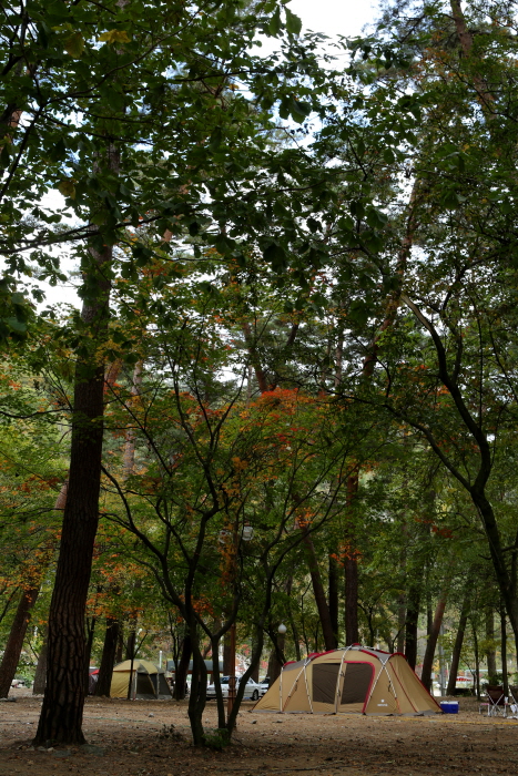 강원 삼척