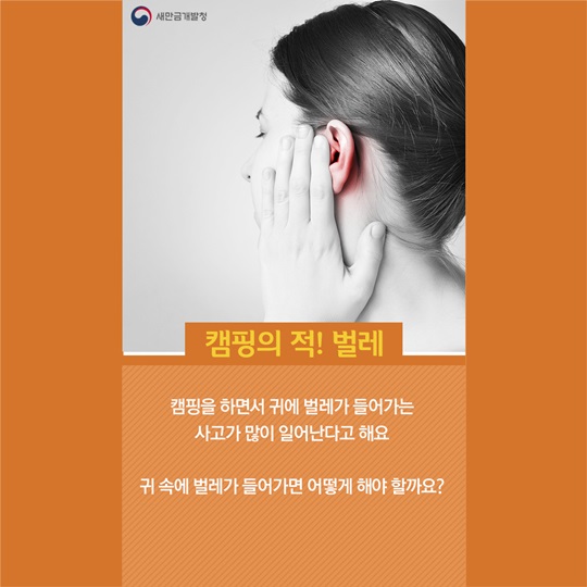 봄캠핑주의사항