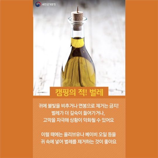 봄캠핑주의사항