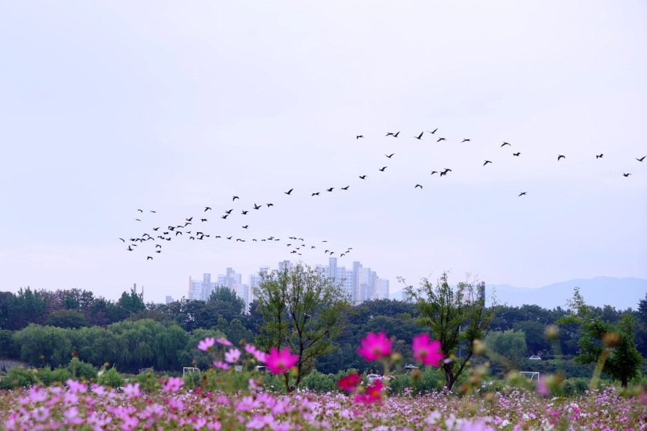 가을냄새