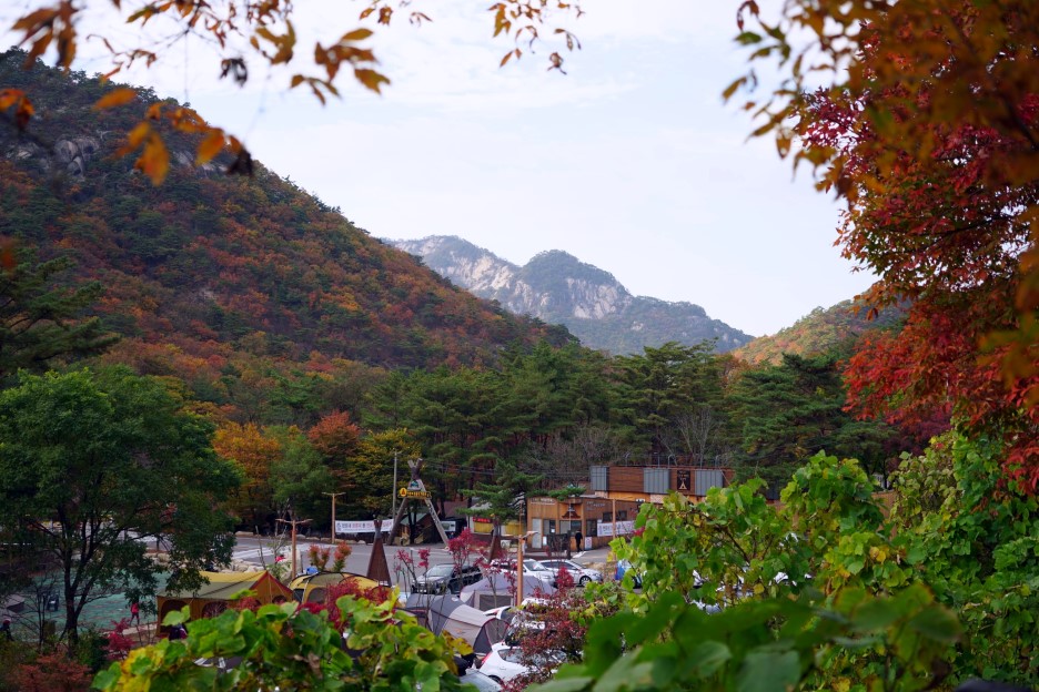 아쉬운단풍끝자락에서