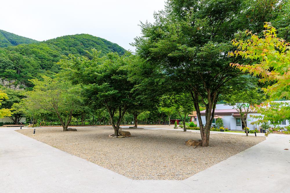 가온오토캠핑장