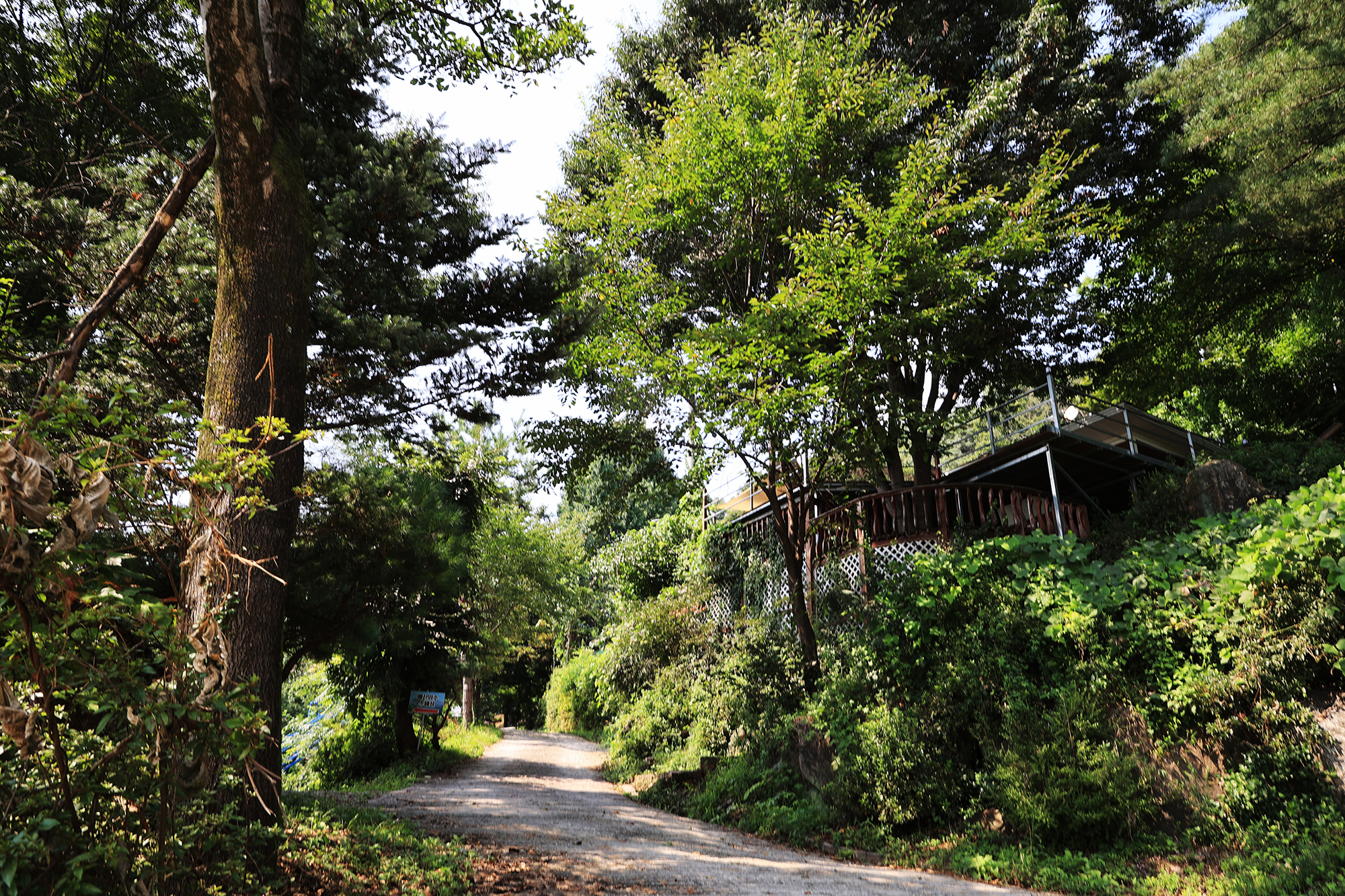 약수동산