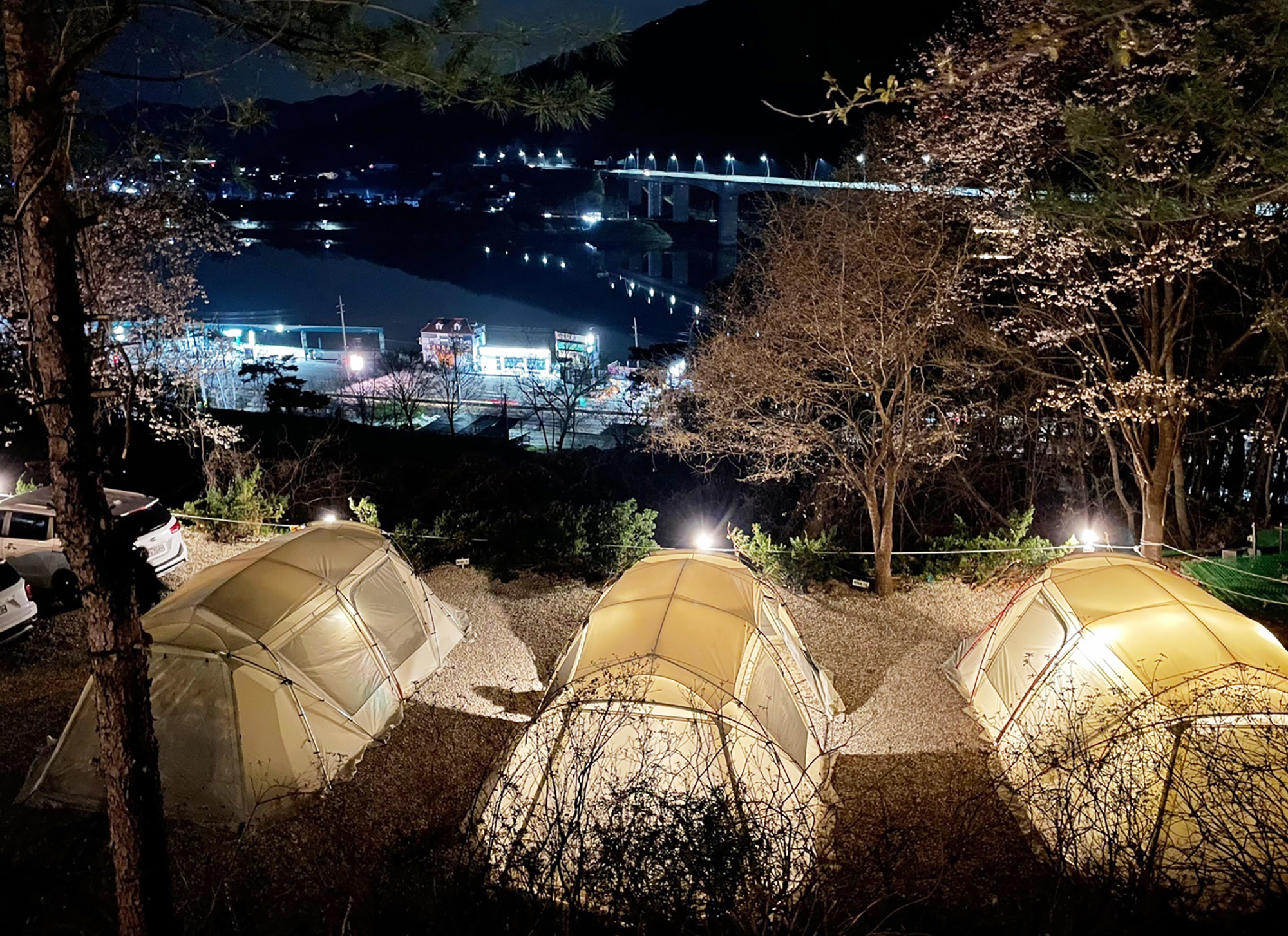 약수동산