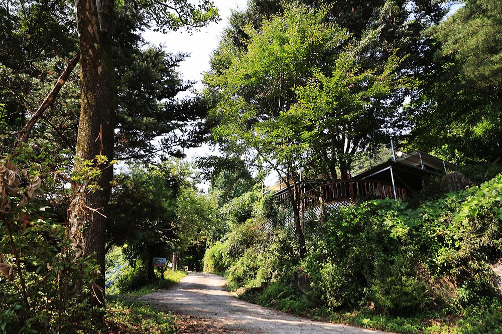 약수동산