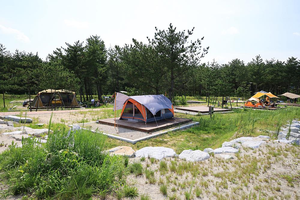 자작도캠핑장