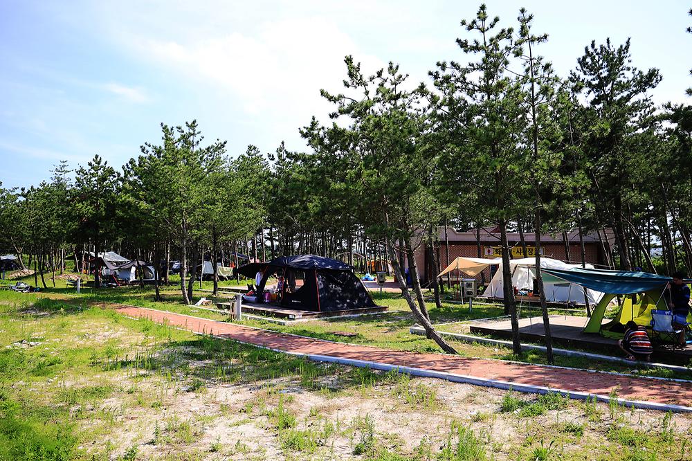 자작도캠핑장