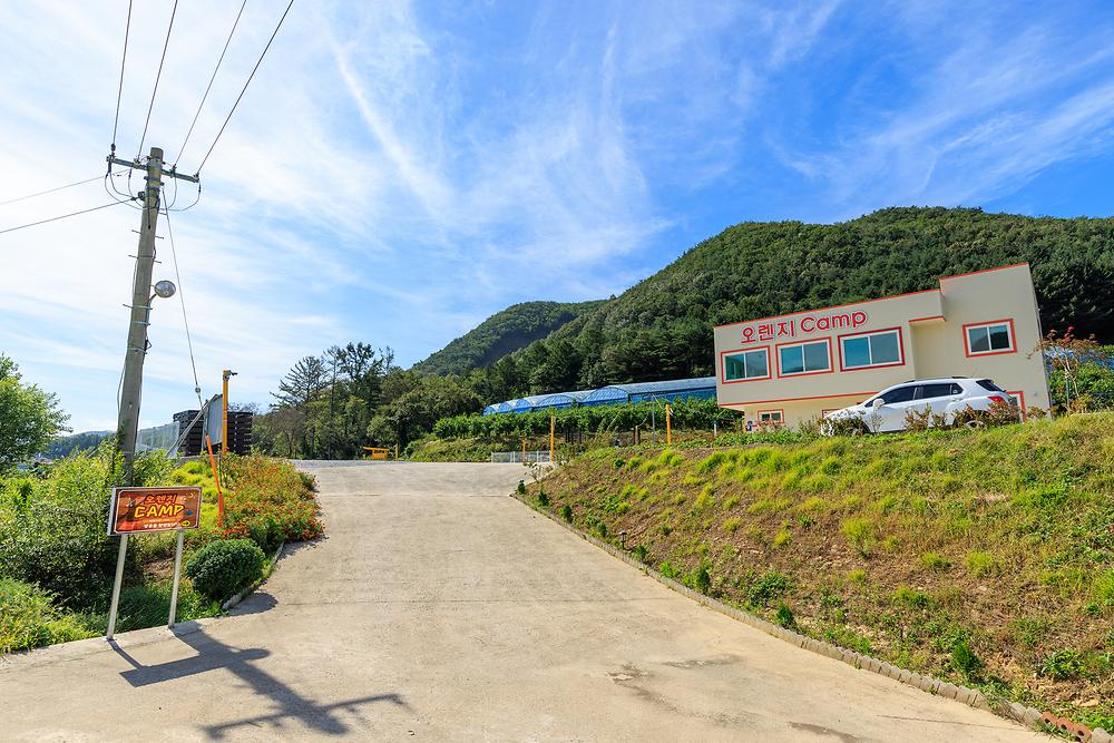 오렌지캠프