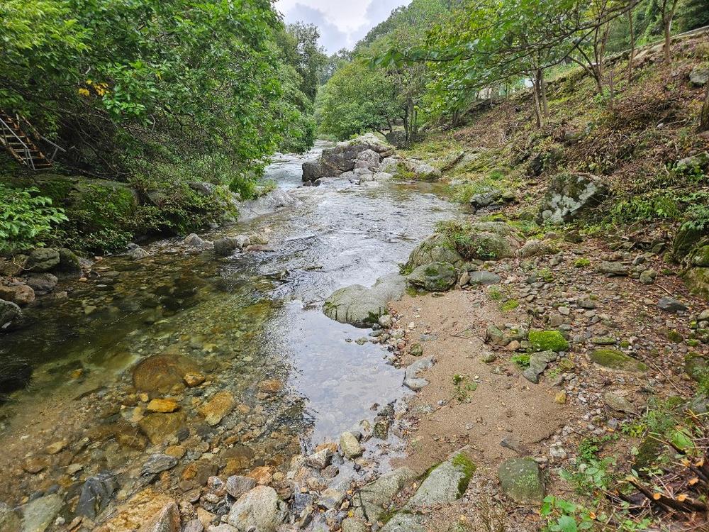 월성자연캠핑야영장