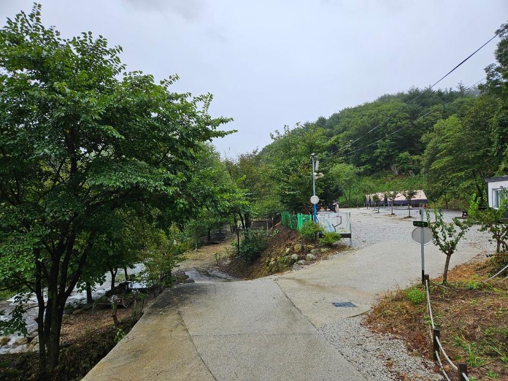 월성자연캠핑야영장