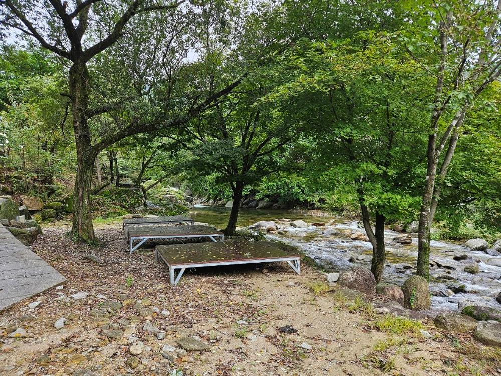 월성자연캠핑야영장