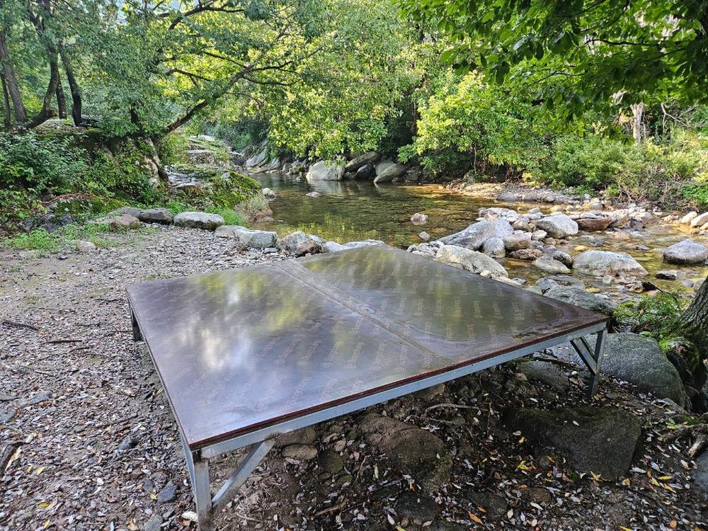 월성자연캠핑야영장