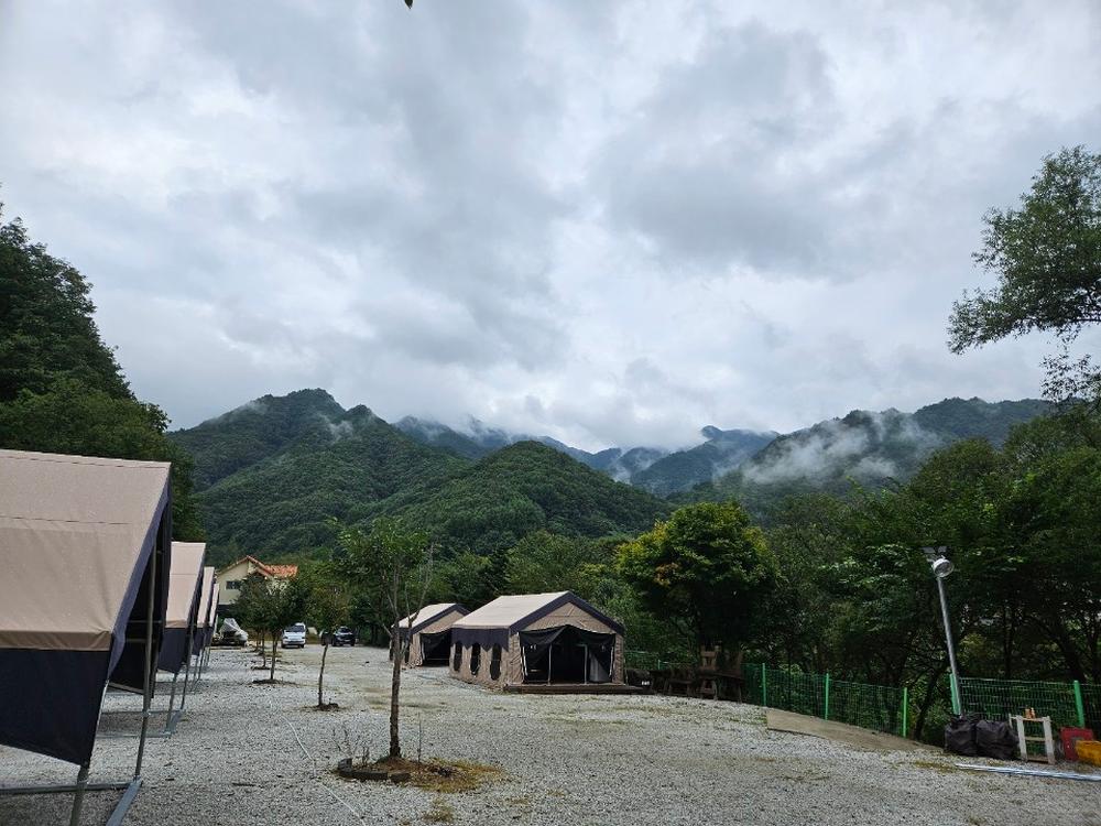 월성자연캠핑야영장