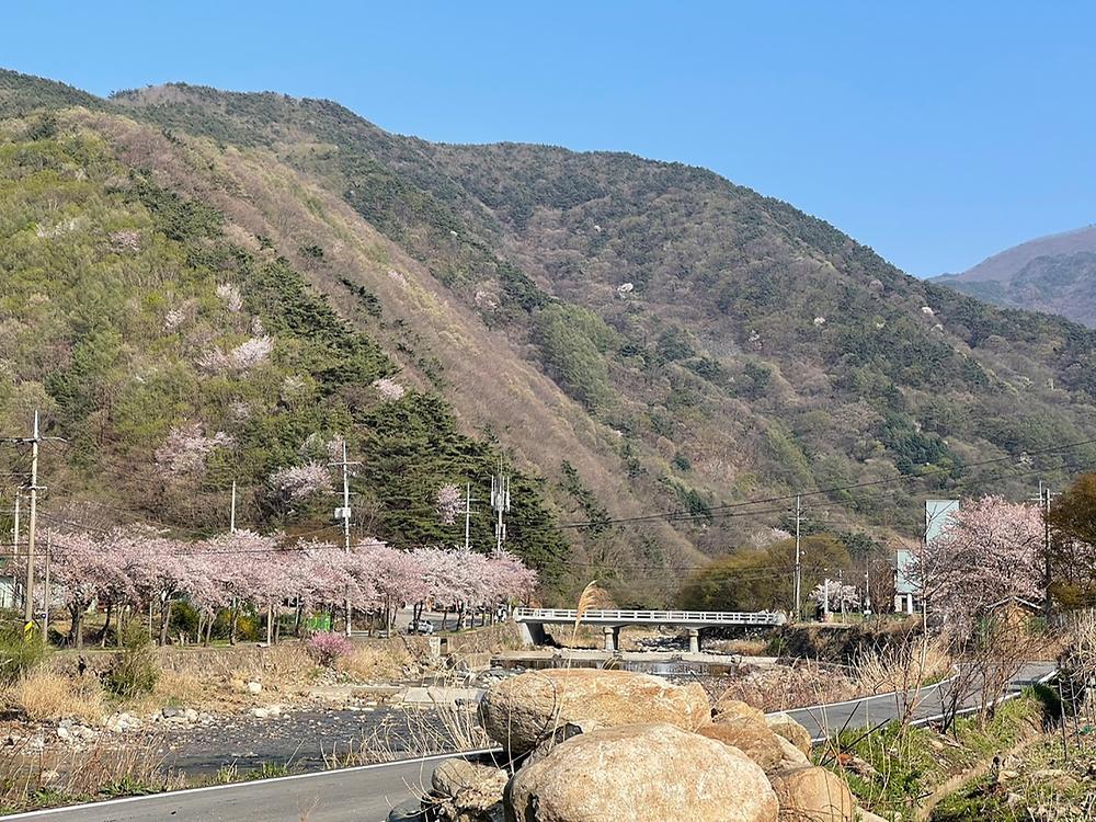 월악파머스캠핑장