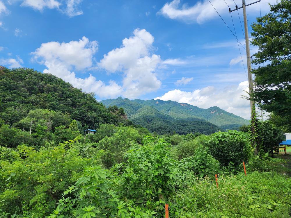 포천 글램파크 글램핑 카라반