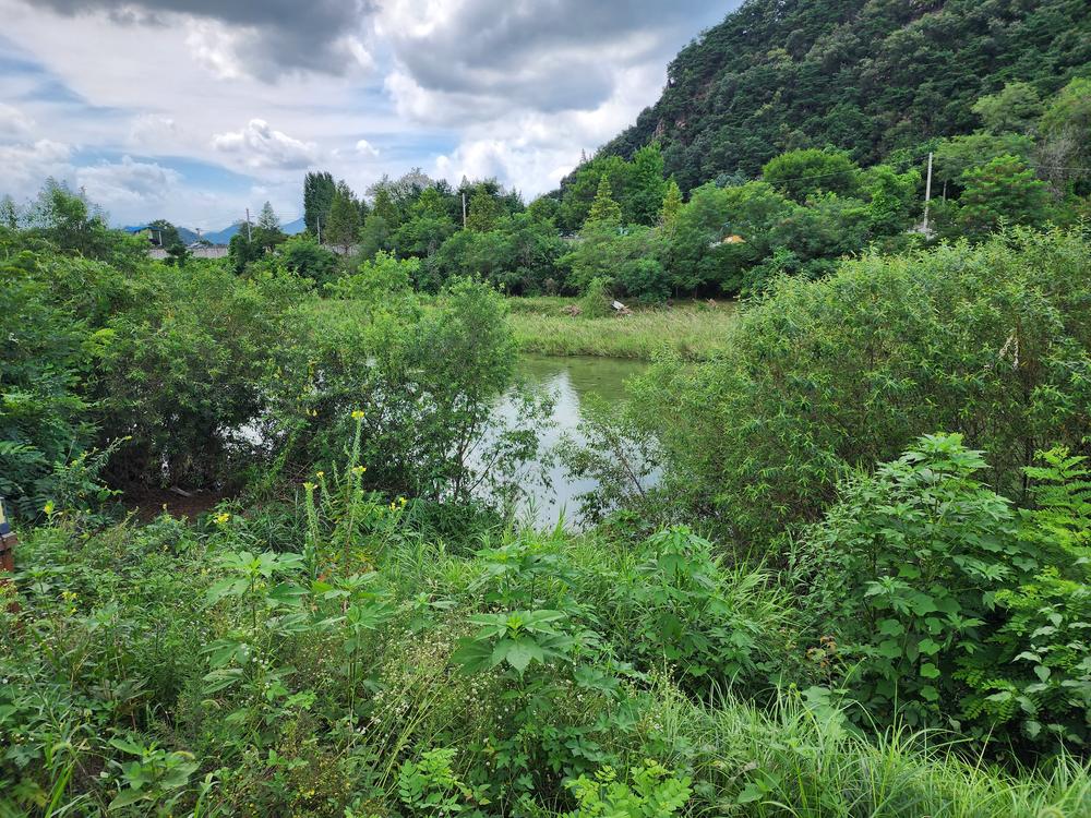 포천 글램파크 글램핑 카라반