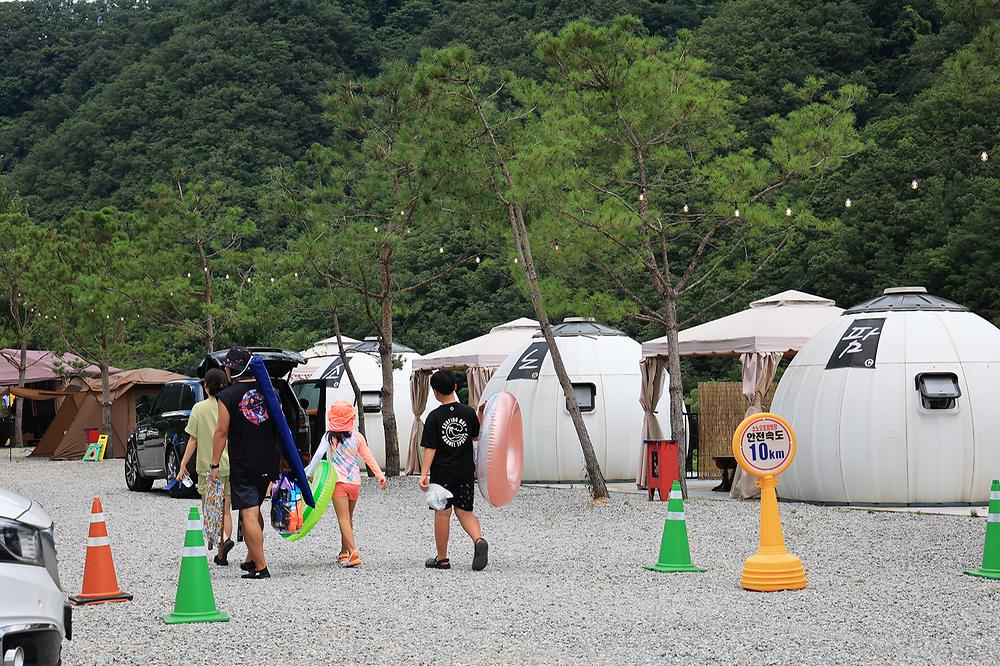소노팜