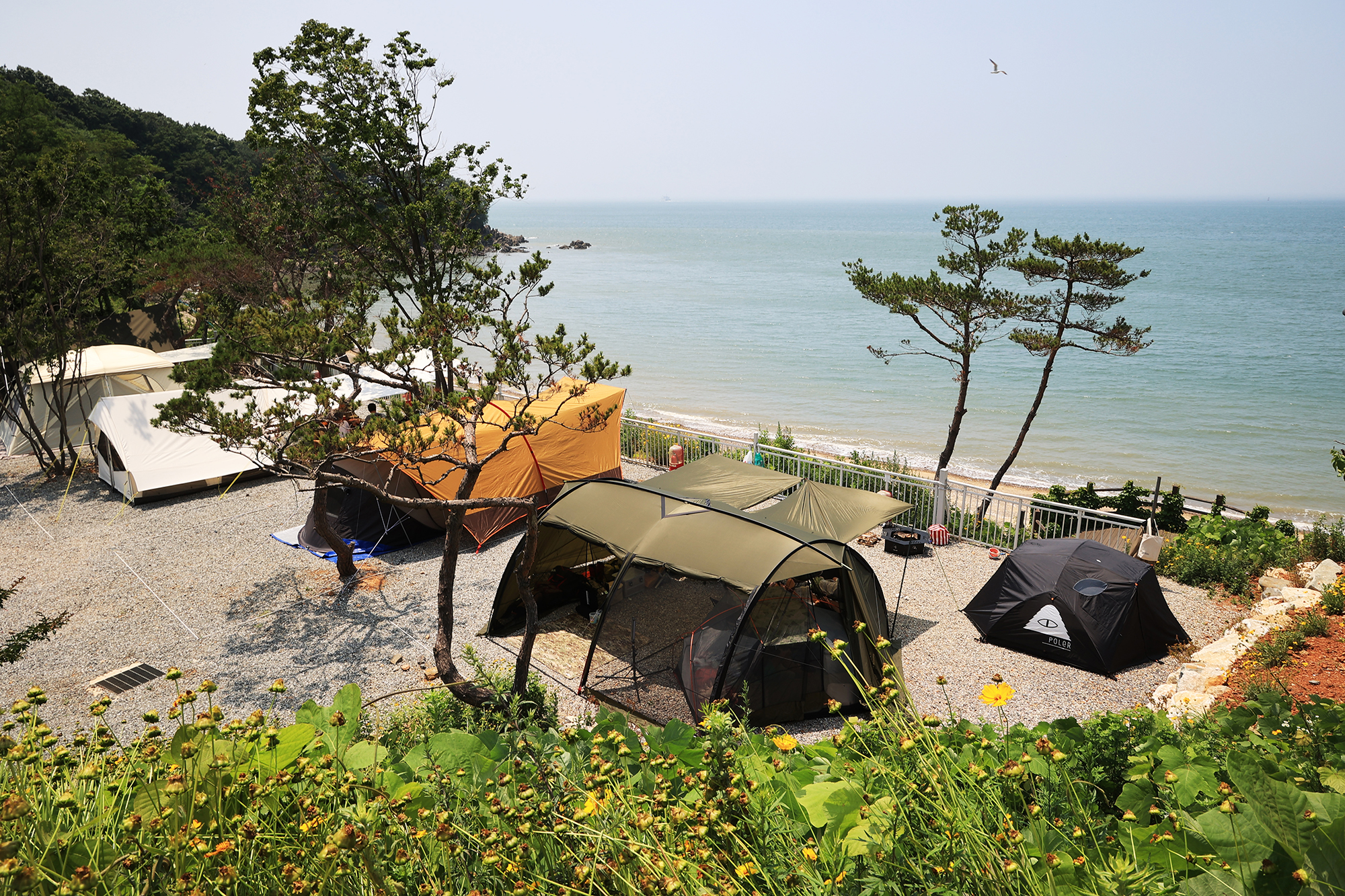 영흥도어울림캠핑장