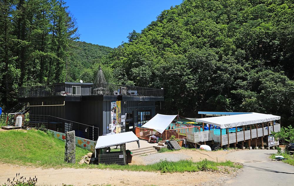 숲이야기