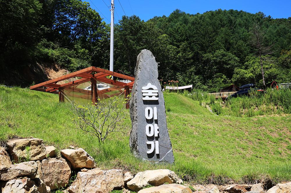 숲이야기