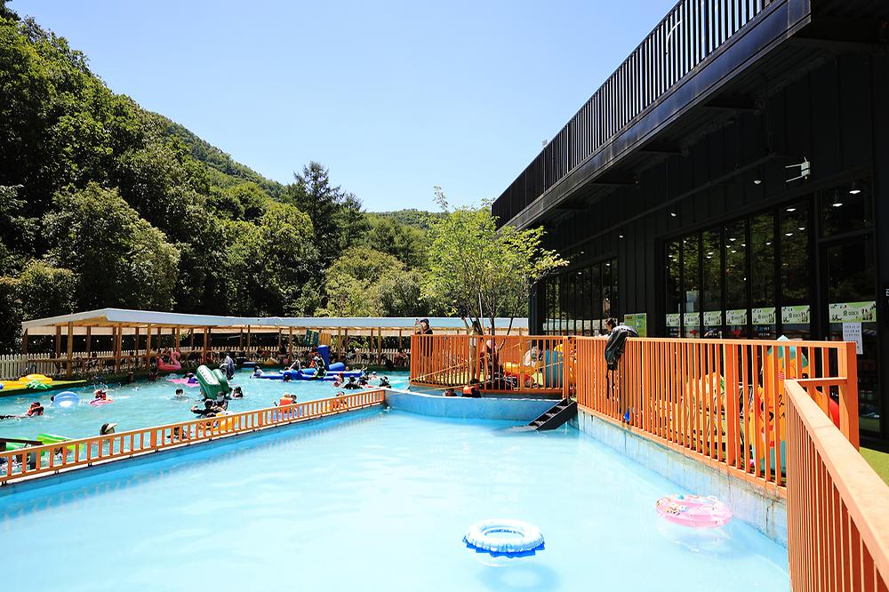 숲이야기