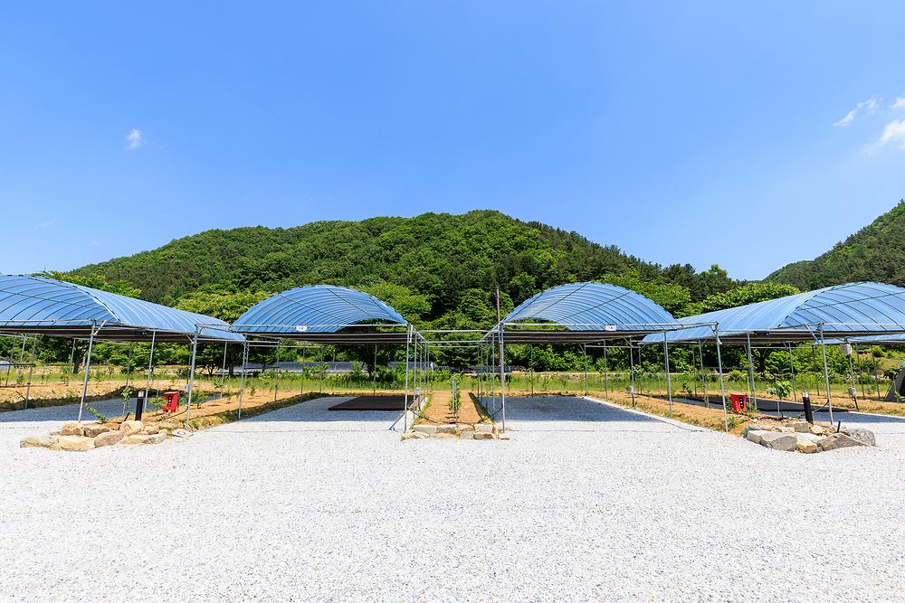 진악산오토캠핑장