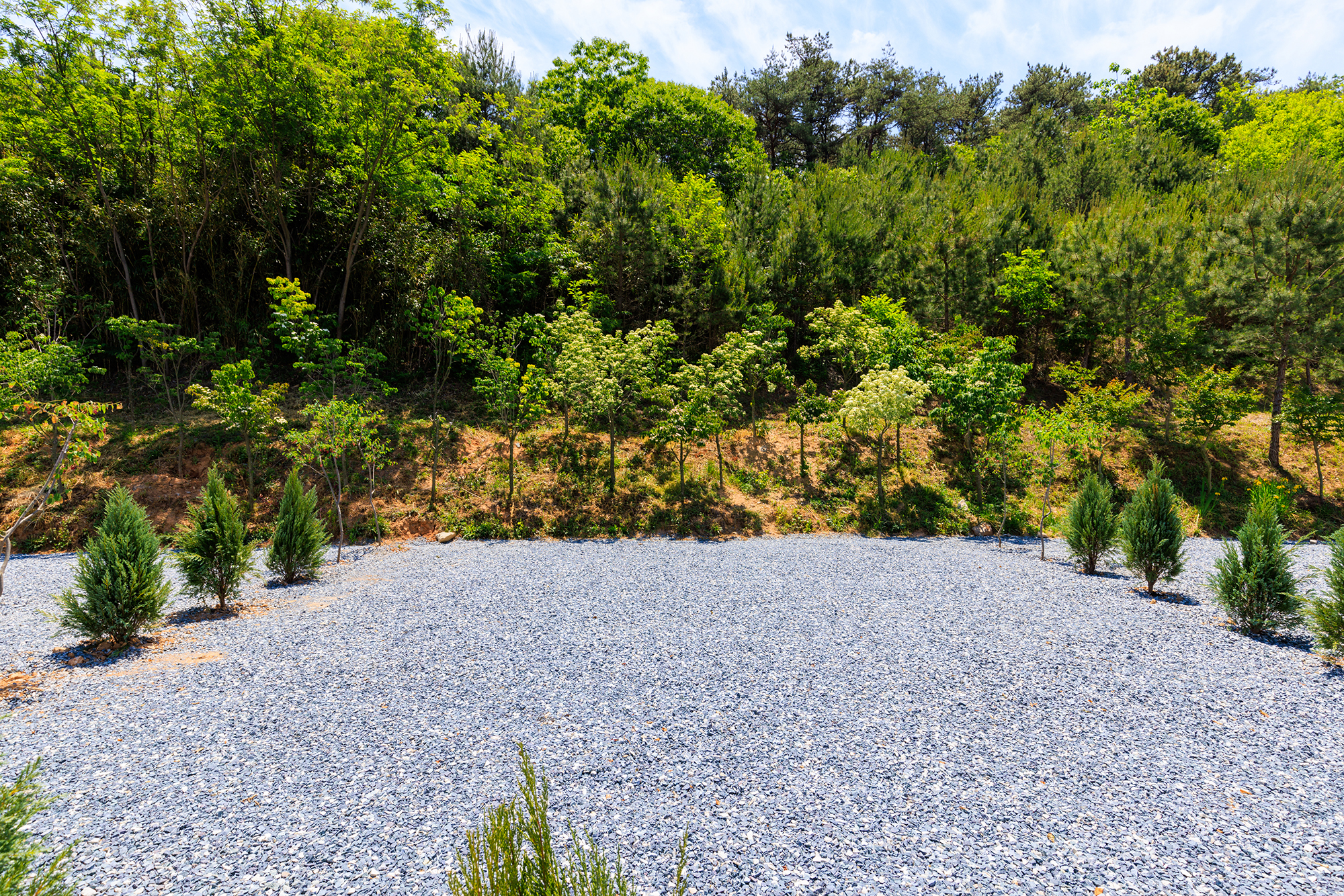 별밤캠핑장
