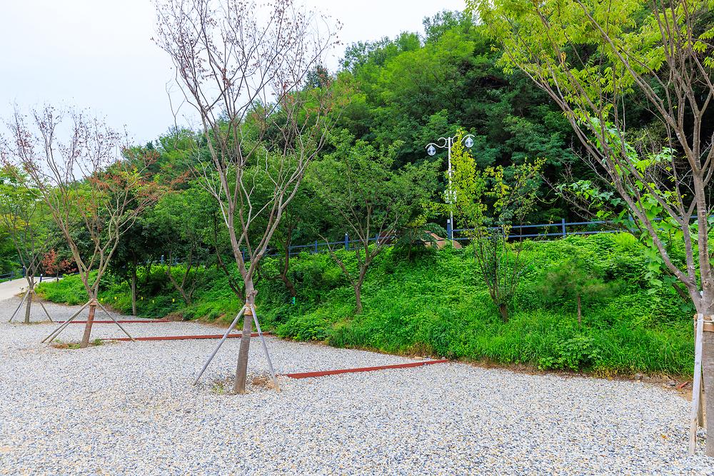 동산오토캠핑장