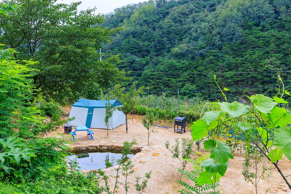 동산오토캠핑장