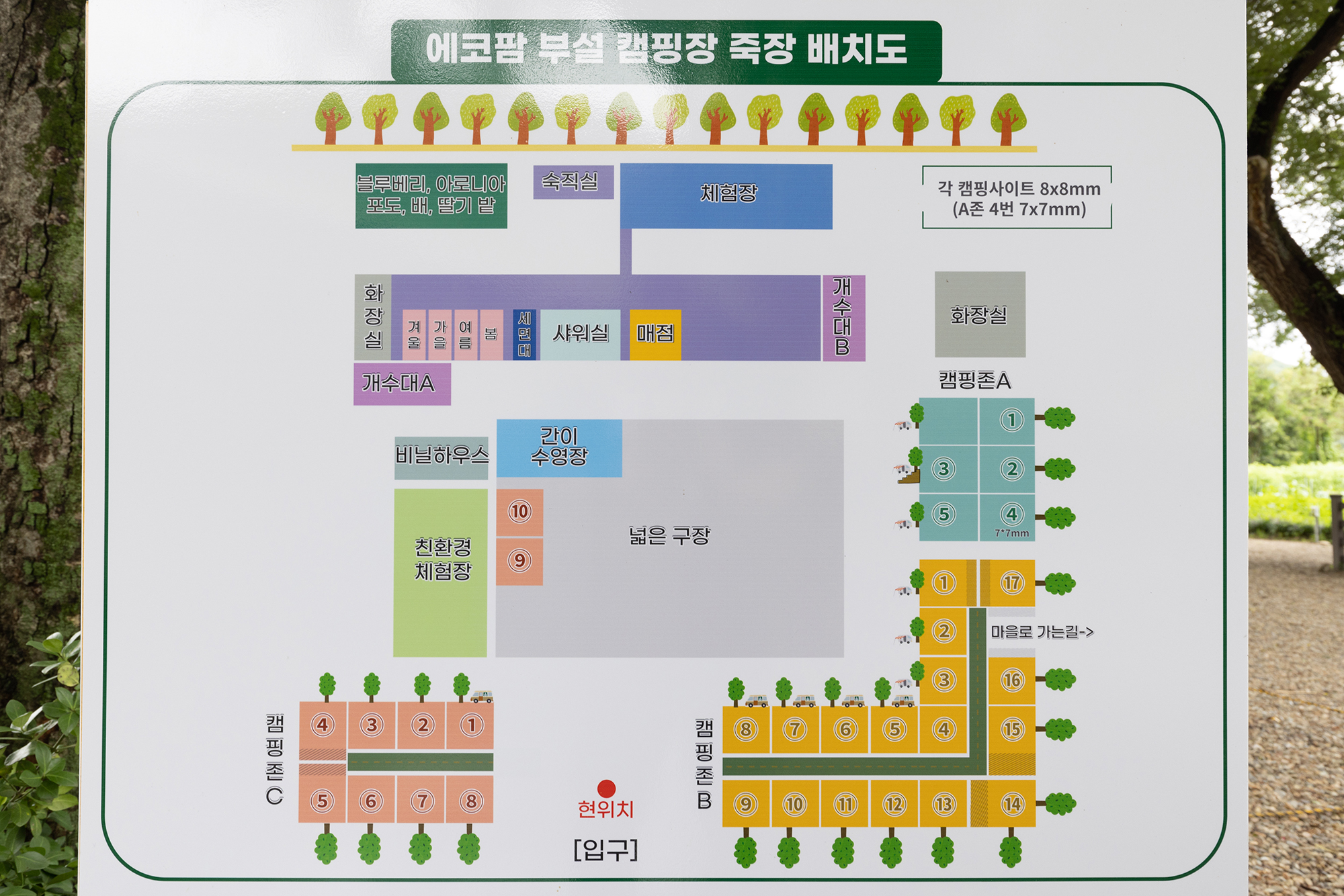 안전 및 시설배치도입니다