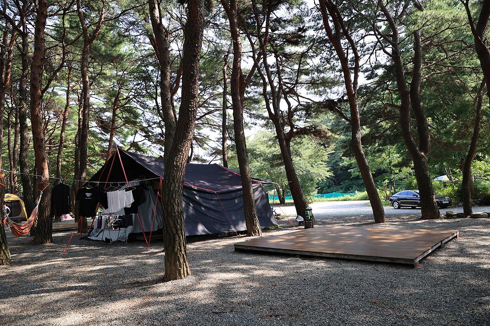 양양 솔바다 캠핑장